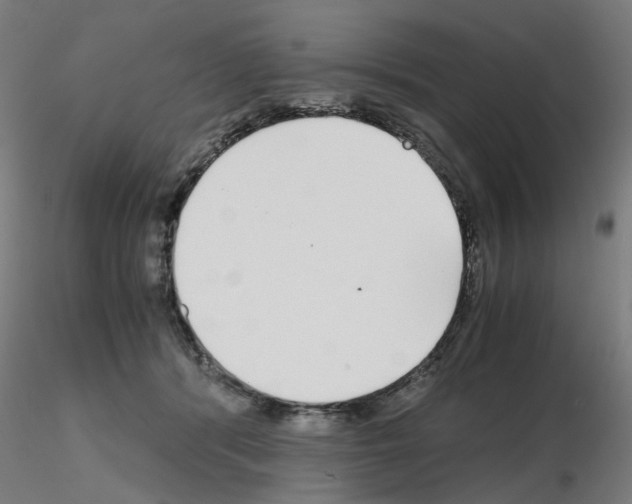 X0000115640416200912221314