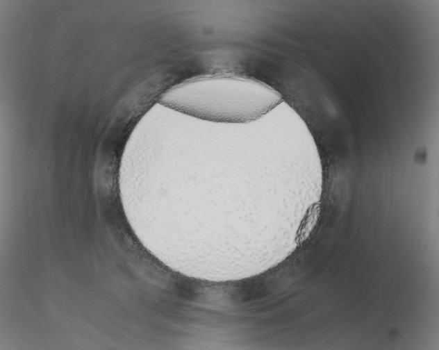 X0000115640417200912221314