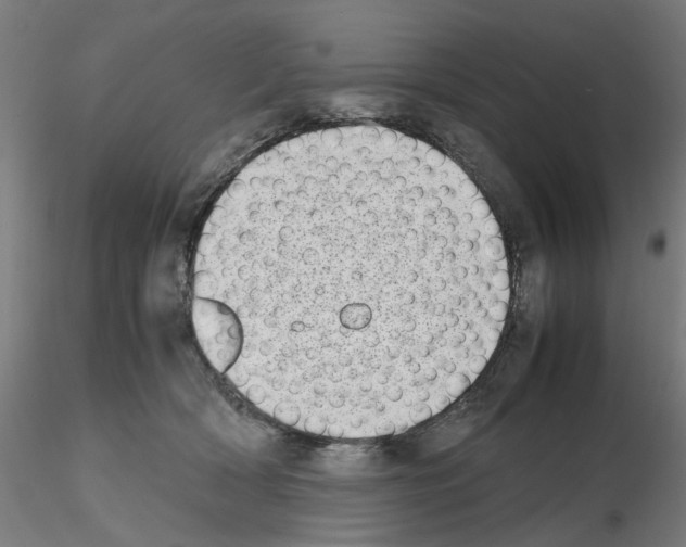 X0000115640418200912221314