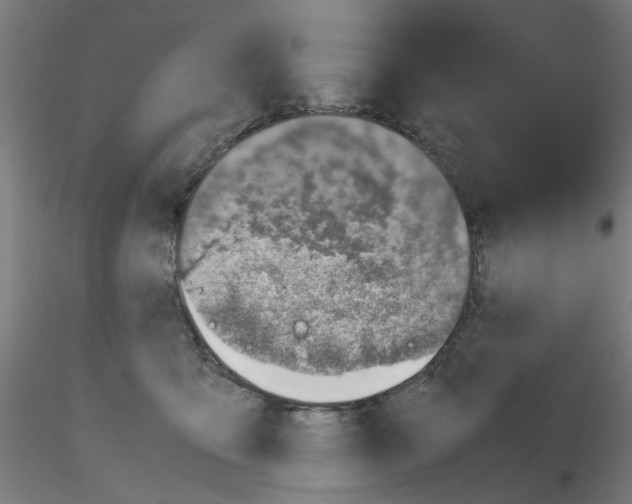 X0000115640419200912221314