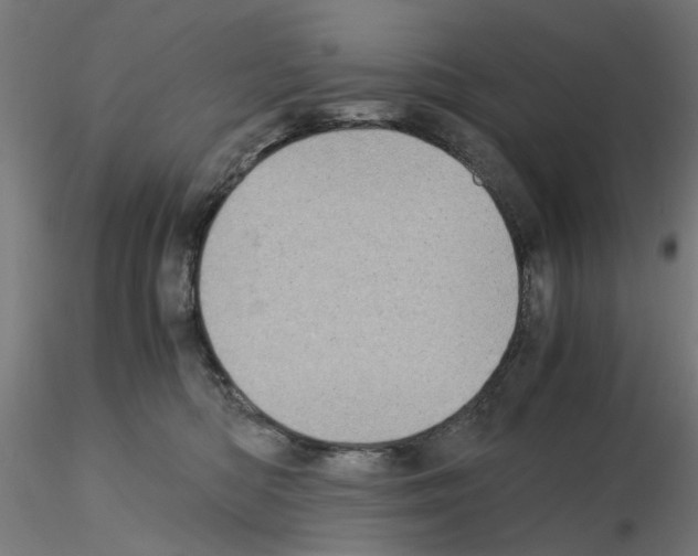 X0000115640422200912221314