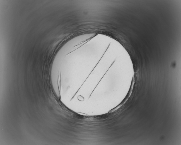 X0000115640423200912221314