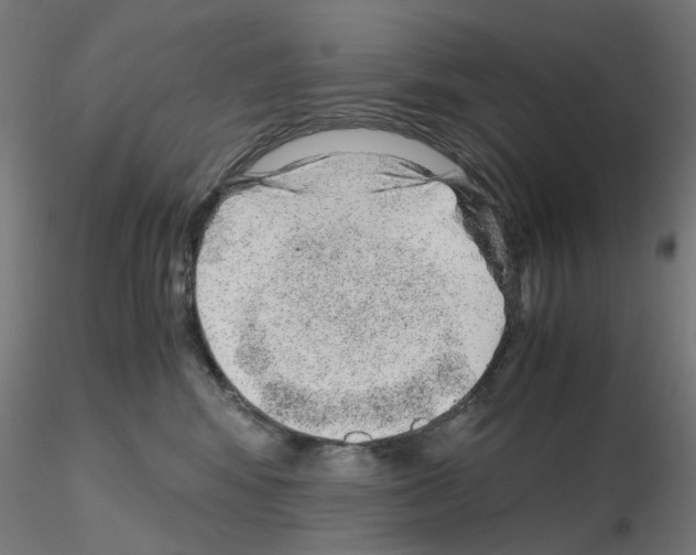 X0000115640424200912221314