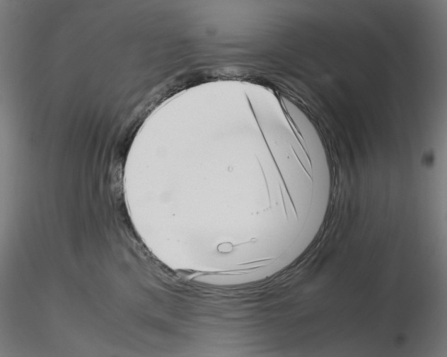 X0000115640425200912221314
