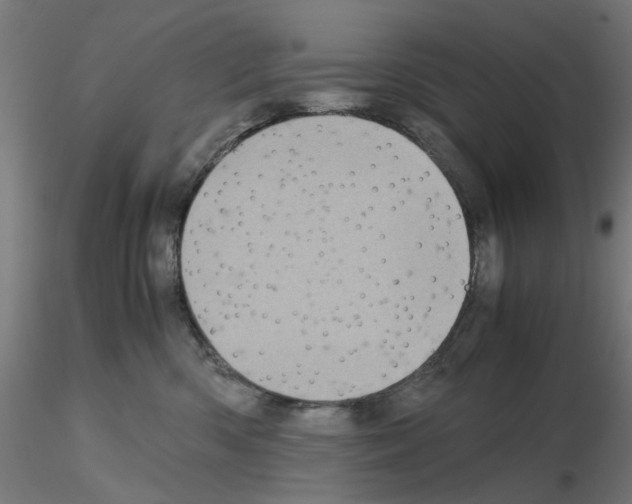 X0000115640426200912221314