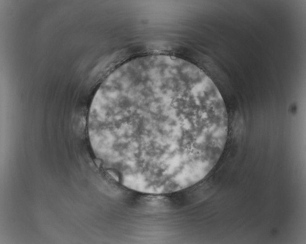 X0000115640427200912221314