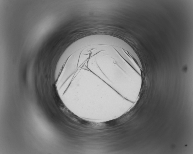 X0000115640429200912221314