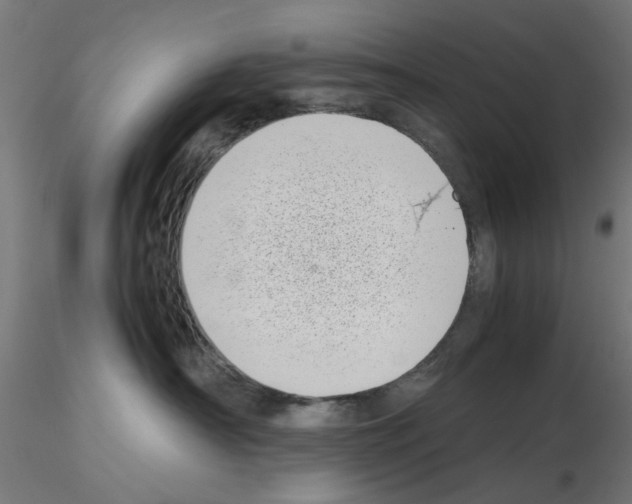 X0000115640430200912221314