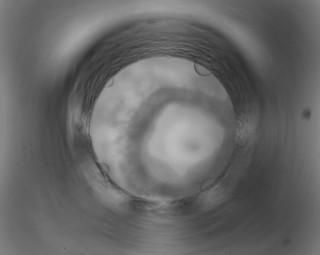 X0000115640431200912221314