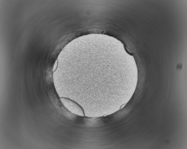 X0000115640432200912221314