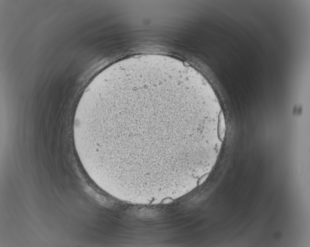 X0000115640433200912221313