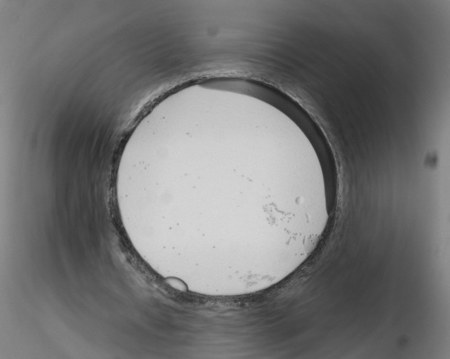 X0000115640434200912221313
