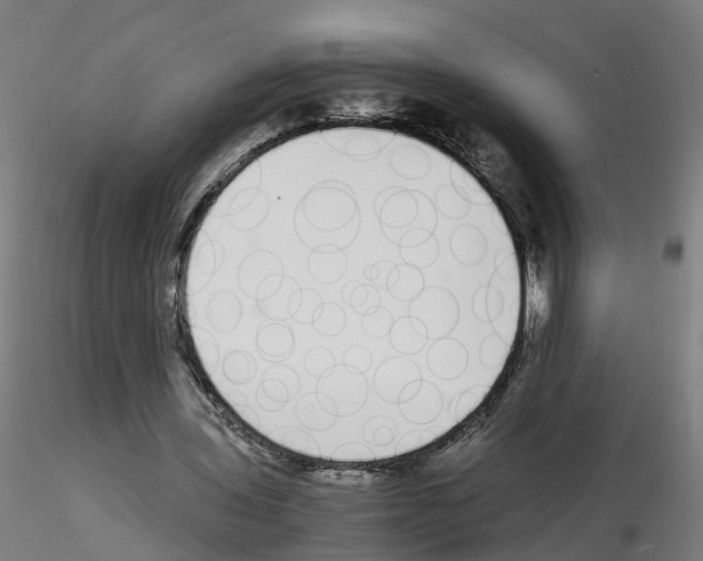 X0000115640435200912221313