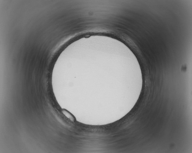 X0000115640436200912221313