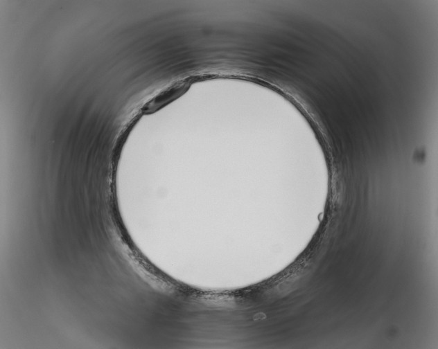 X0000115640437200912221313