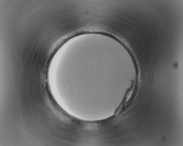 X0000115640438200912221313