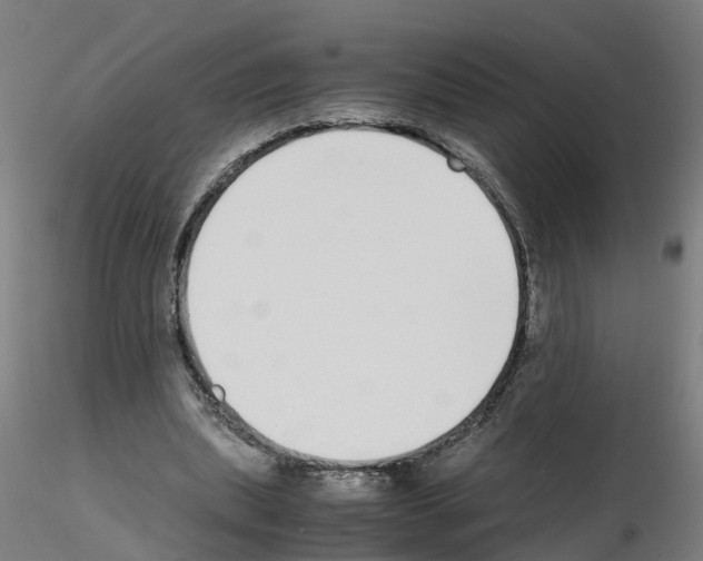 X0000115640439200912221313