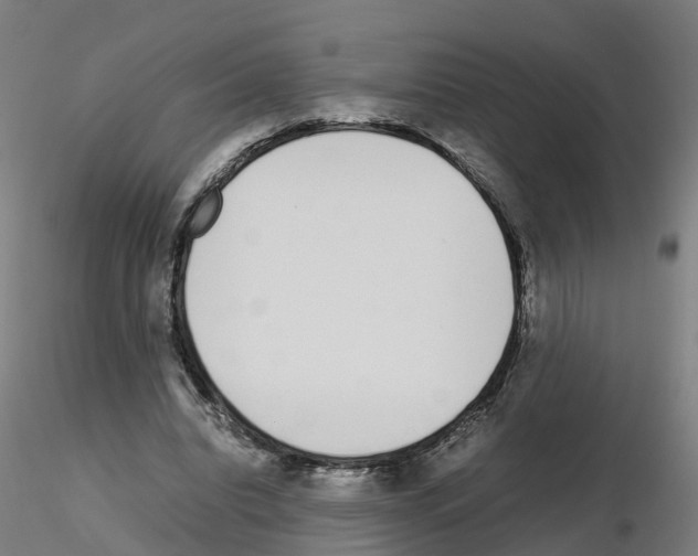 X0000115640440200912221313