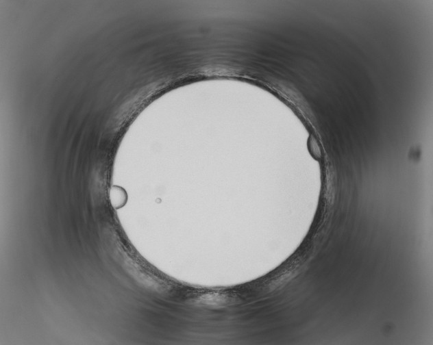 X0000115640441200912221313