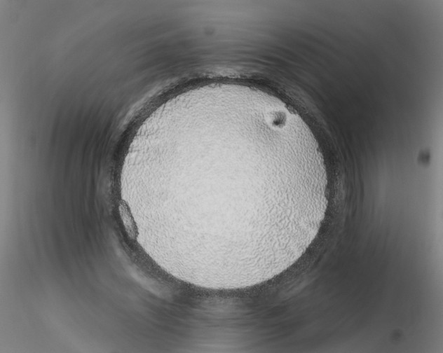 X0000115640444200912221313