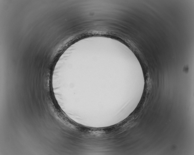 X0000115640446200912221313