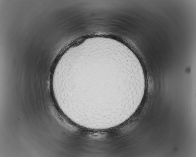 X0000115640447200912221313