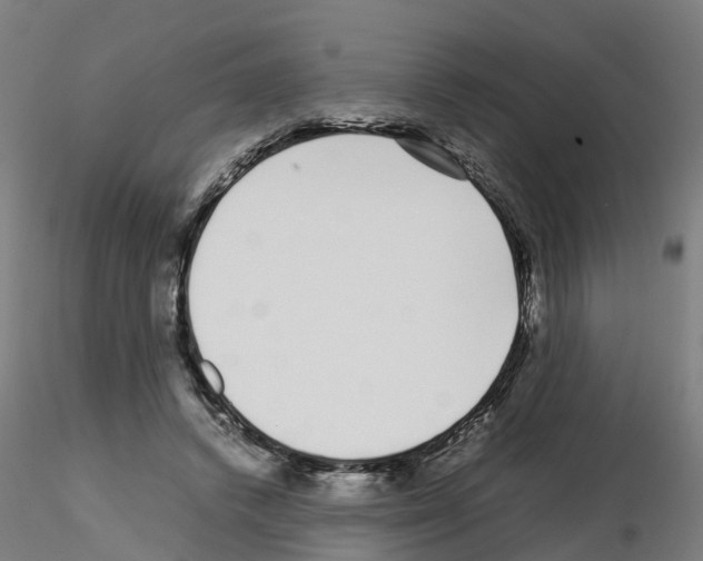 X0000115640448200912221313