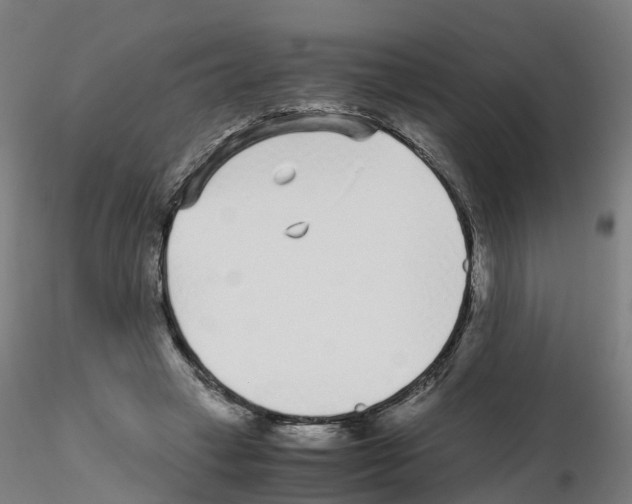 X0000115640449200912221313
