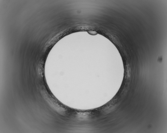 X0000115640450200912221313