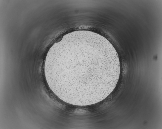 X0000115640451200912221313
