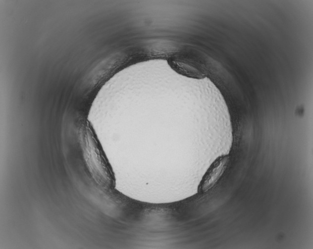 X0000115640452200912221313