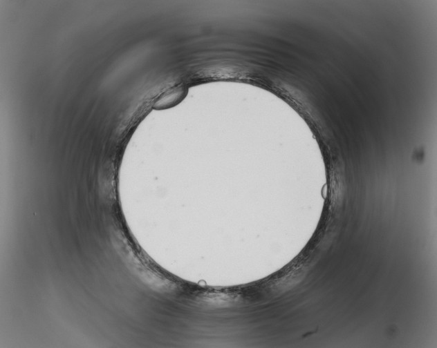 X0000115640453200912221313