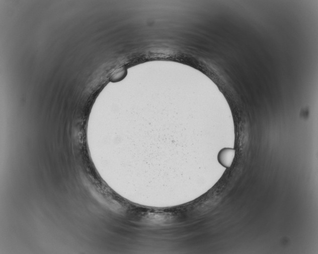 X0000115640455200912221313