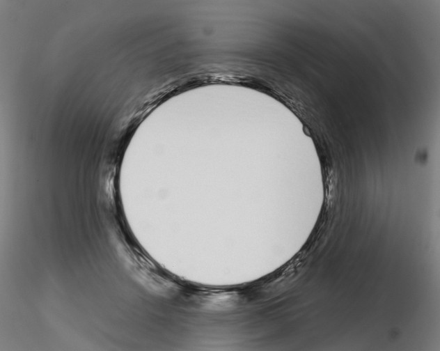 X0000115640456200912221313