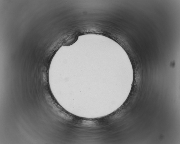 X0000115640457200912221313