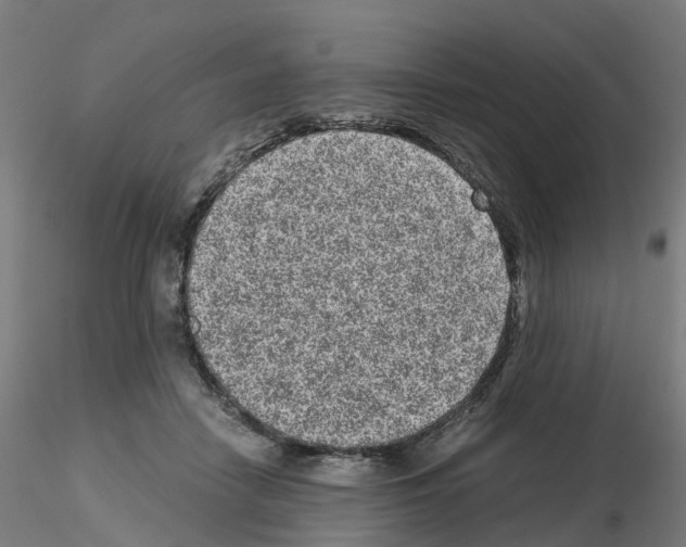 X0000115640458200912221314