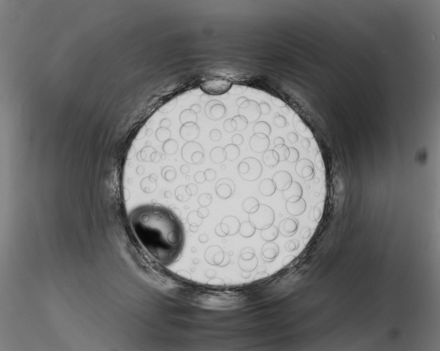 X0000115640459200912221314