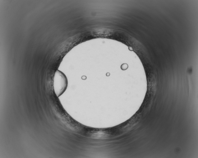 X0000115640460200912221314