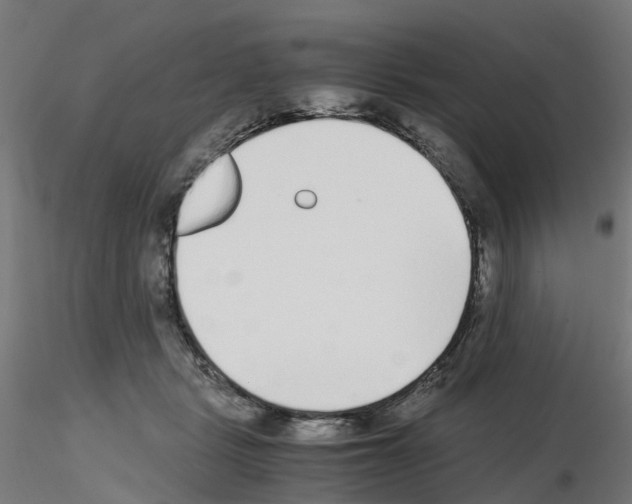 X0000115640461200912221314