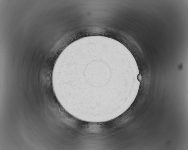 X0000115640462200912221314