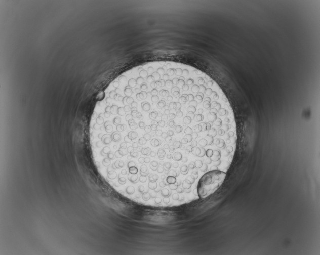 X0000115640463200912221314