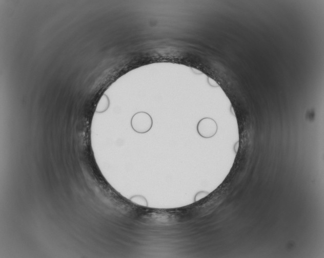 X0000115640464200912221314