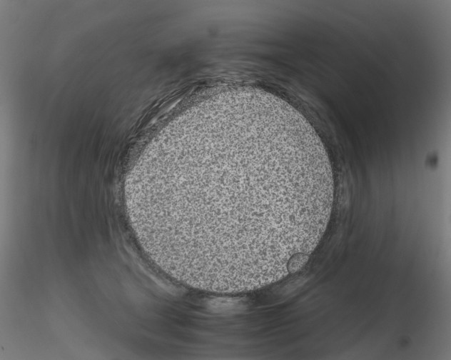 X0000115640465200912221314