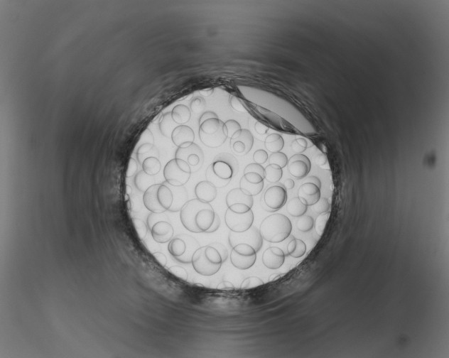 X0000115640466200912221314