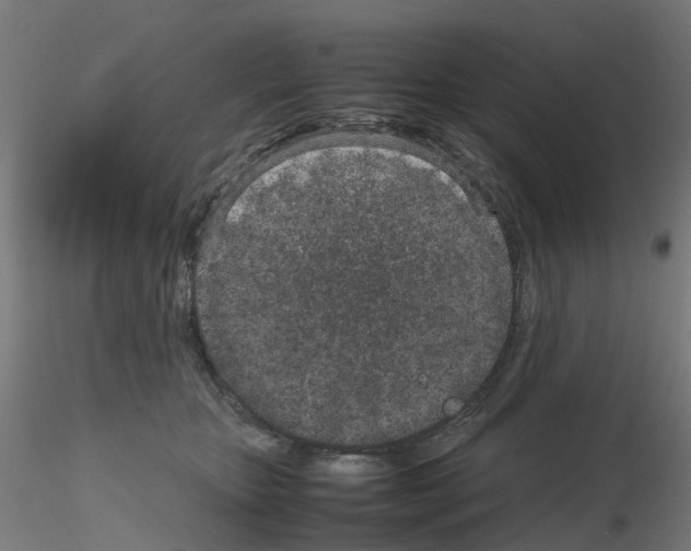 X0000115640467200912221314