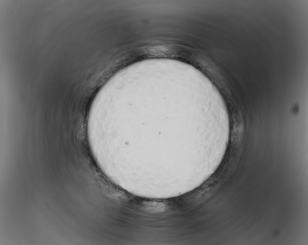 X0000115640469200912221314