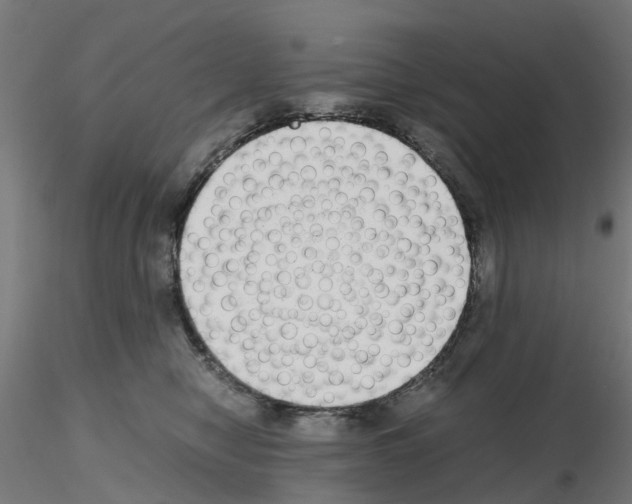 X0000115640470200912221314