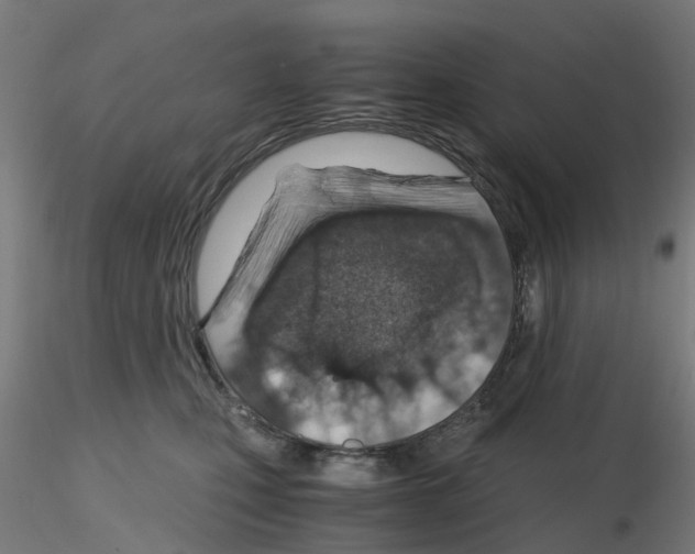 X0000115640471200912221314