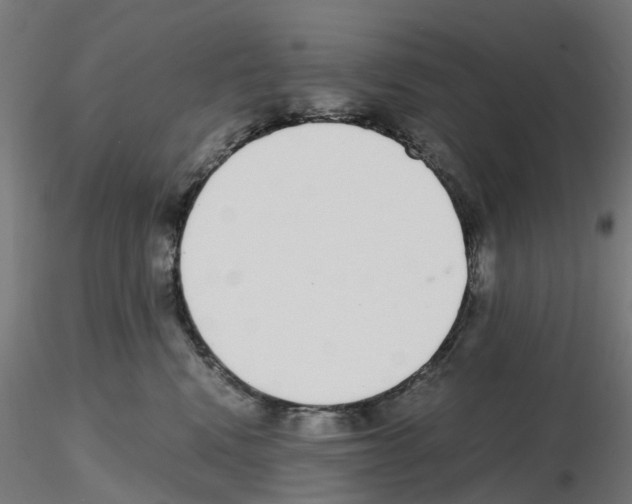 X0000115640472200912221314