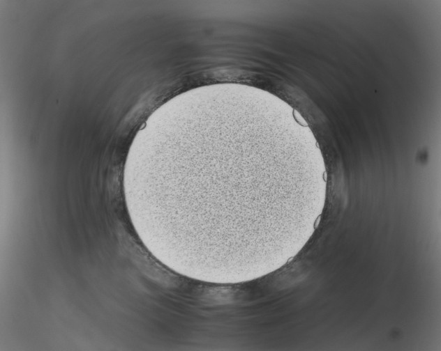X0000115640473200912221314